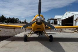 1995 Ayres Thrush S2R-G6