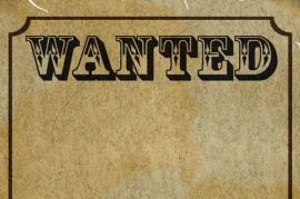 Pratt & Whitney R-1340 Engine Wanted